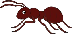ant.webp