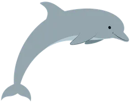 dolphin.webp