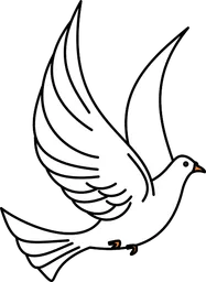 dove.webp