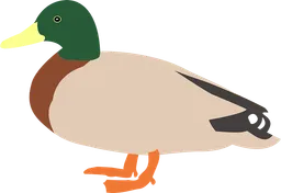 duck.webp