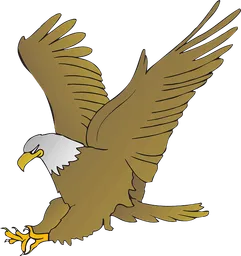 eagle.webp