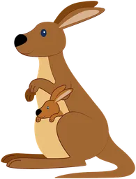 kangaroo.webp