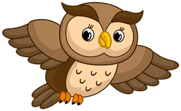 owl.webp