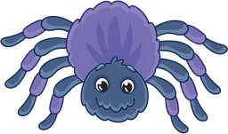 spider.webp