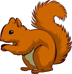squirrel.webp