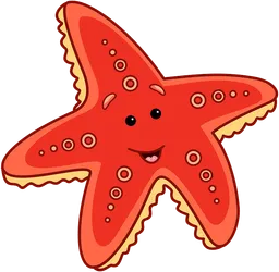 starfish.webp