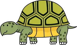 tortoise.webp
