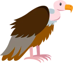 vulture.webp