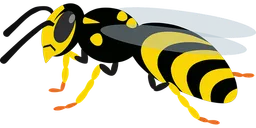 wasp.webp
