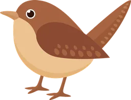 bird.webp