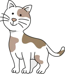 cat.webp