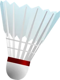shuttlecock.webp