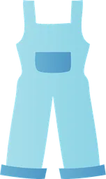 dungarees.webp