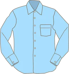 shirt.webp