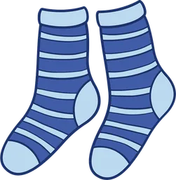 socks.webp