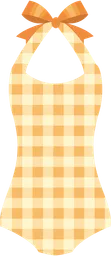swimsuit.webp