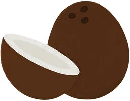 coconut.webp