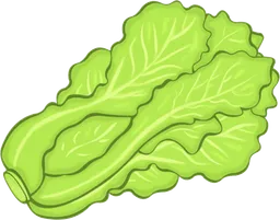 lettuce.webp