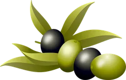 olives.webp