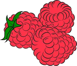raspberries.webp
