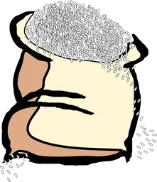 rice.webp