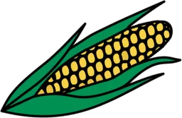 sweetcorn.webp