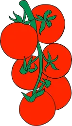 tomatoes.webp