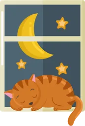night.webp