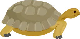 slow.webp