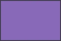 rectangle.webp