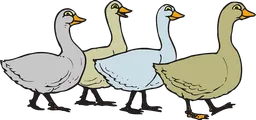 follow.webp