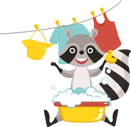 wash.webp